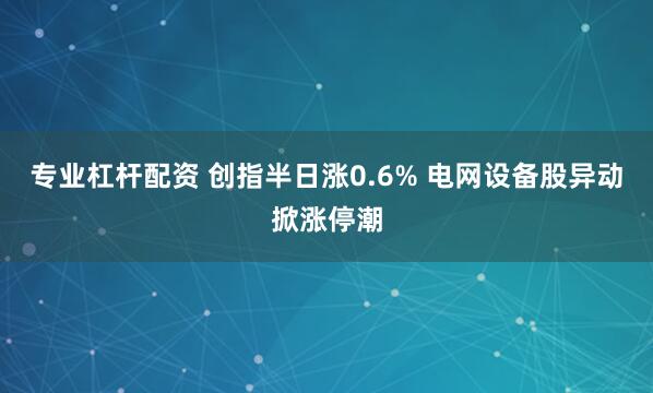 专业杠杆配资 创指半日涨0.6% 电网设备股异动掀涨停潮