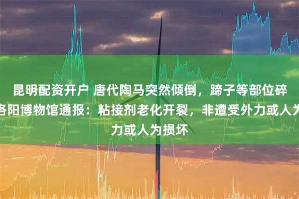 昆明配资开户 唐代陶马突然倾倒，蹄子等部位碎裂，洛阳博物馆通报：粘接剂老化开裂，非遭受外力或人为损坏